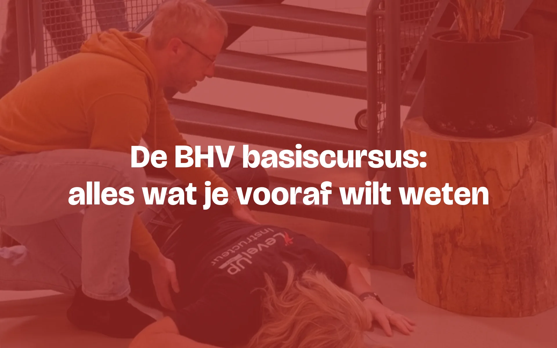 BHV basiscursus: wat het is, voor wie en hoe je het regelt