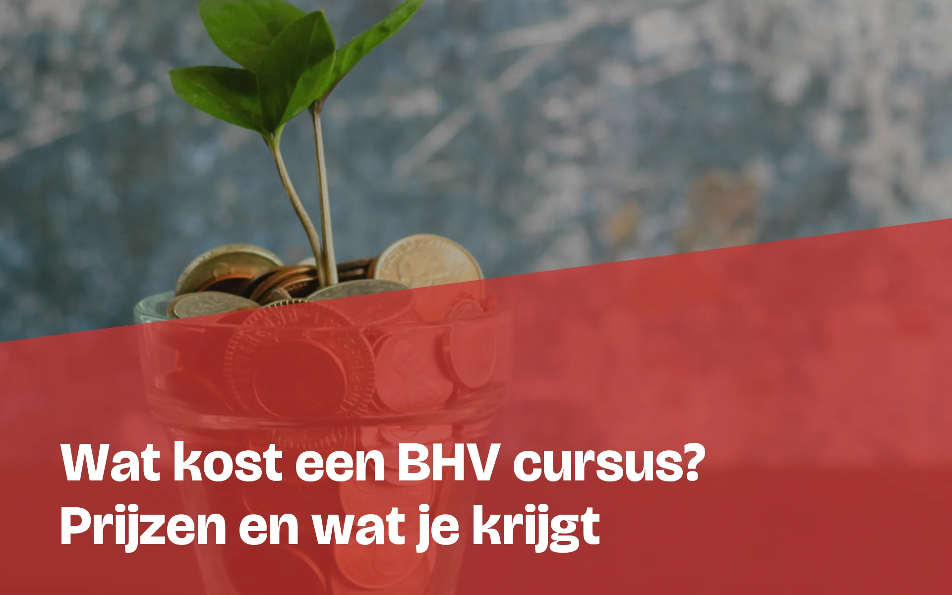 BHV cursus kosten in 2026: prijzen, wat je ervoor krijgt en waar goedkoop duurkoop wordt